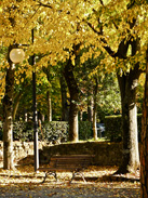 Arezzo Park