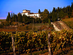 Tuscan vineyard and farmhouse outside of Sieci, Italy