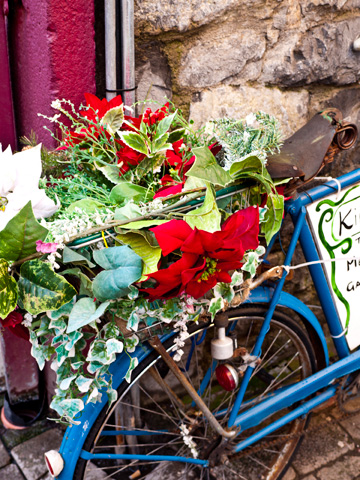 A blue bicycle is decorated for Christmas in Galway, Ireland.