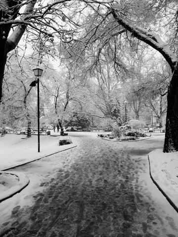 A wintery scene in Sofia, Bulgaria