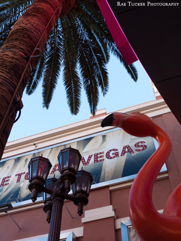 Symbolic Las Vegas outside the Flamingo Hotel and Casino
