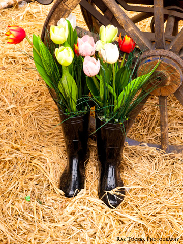 Tulips fill a pair of rubber boots displayed on a bed of straw at an Easter market in Prague, Czech Republic