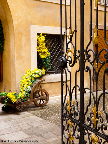 Through a gold and black gate, a cart overflowing with daffodils in Prague, Czechia.