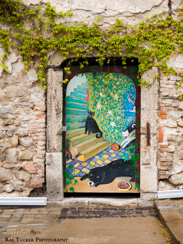 An old stone and brick exterior is decorated with a painted door and ivy in Bratislava, Slovakia