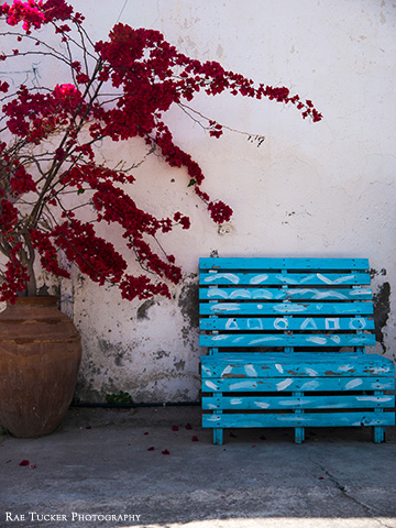A blue bench and flowers in Larnaca, Cyprus