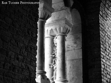 A black and white image of columns set into a brick wall.