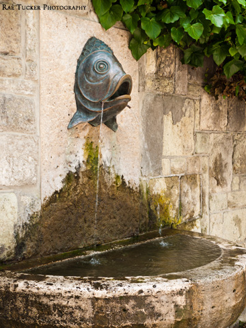 A fish head water fountain in Szentendre, Hungary