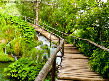 A wooden boardwalk in a lush forest goes over a small waterfall in Croatia