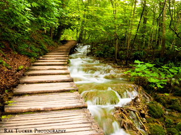 Water flows beside a wooden boardwalk in a forest in Croatia