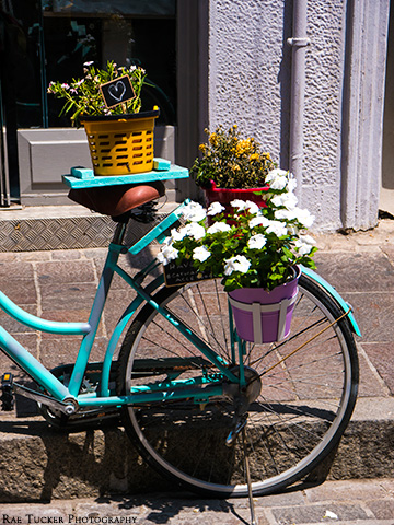 A turquoise bicycle adorned with flowering plants