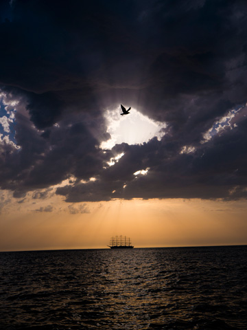 Sun beams break through storm clouds at sunset, illuminating a bird in flight