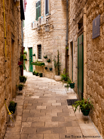 A stone street lined with potted plants in Kotor, Montenegro