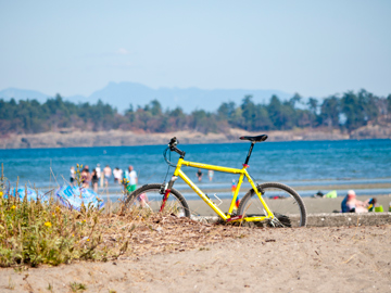 A yellow bicycle at a beach on Vancouver Island