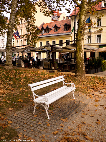 Autumn in a park in Ljubljana, Slovenia