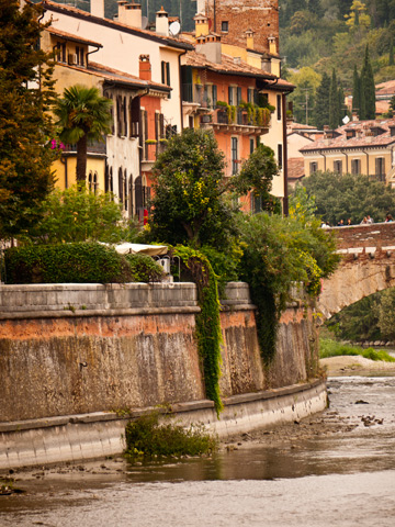 Homes and foliage along the Adige River in Verona, Italy