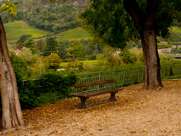 A bench provides a place to view the autumn views in Bolzano, Italy