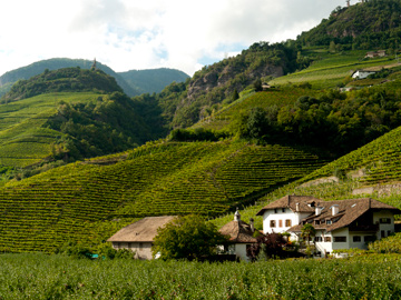 Vineyards and homes dot the hills surrounding Bolzano, Italy