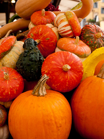 Autumn pumpkins and gourds piled in Verona