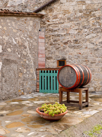 A barrel and potted plant at a small vineyard in Tuscany.