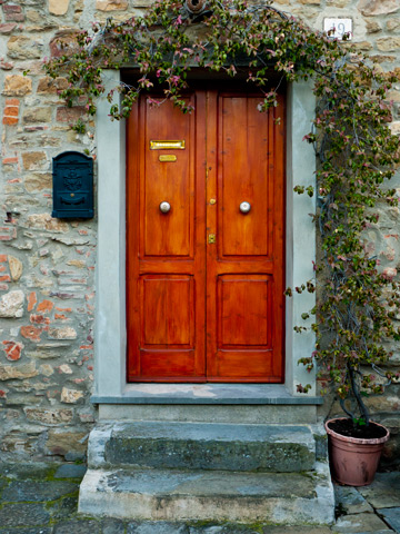 A wooden door decorated by a flowering plant in Tuscany, Italy