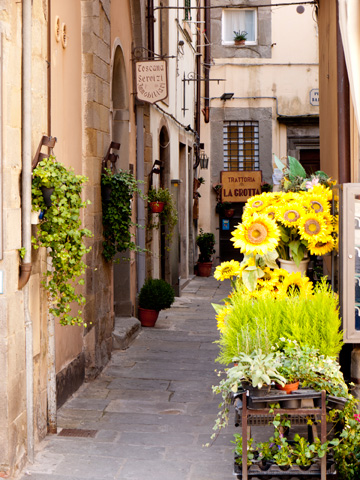 A small street in Cortona, Italy