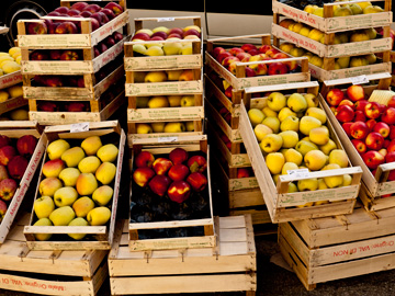 Wooden crates of apples during the autumn months