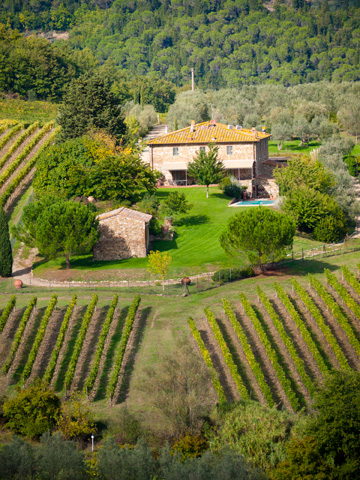 The Tuscan home is surrounded by vineyards and olive groves.