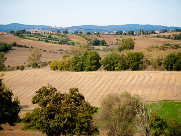 After the harvest in Tuscany.