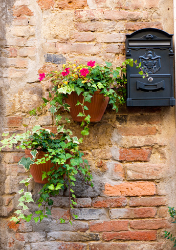 An old, brick wall houses a mailbox and flowering, potted plants.