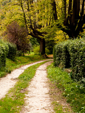 A small dirt roadway during the autumn in Brisighella, Italy.