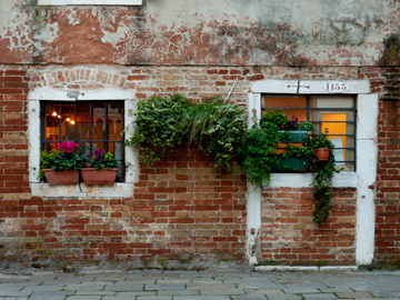 Windows and plants adorn a brick wall in Venice, Italy