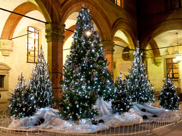 Christmas trees displayed in Palazzo D'Accursio in Bologna, Italy