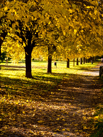 Parco di Villa Angeletti in Bologna in Autumn