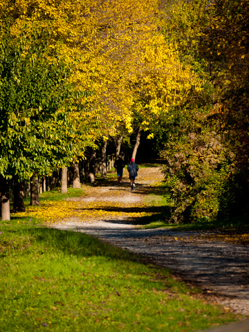 Joggers in Bologna Italy during the autumn months.
