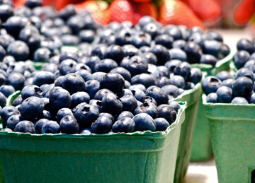 Blueberries on display for sale at a market
