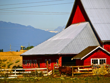 Farm in British Columbia, Canada