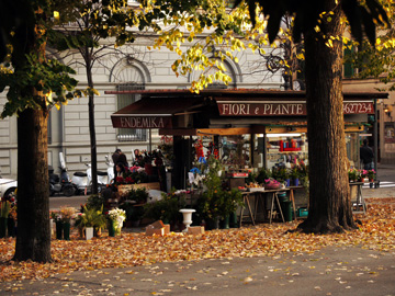 A flower stall in a park during the autumn months