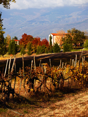 A farmhouse outside of Bucine, Italy in the autumn.
