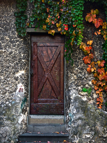 A wooden door on a stone wall is decorated by the hanging autumn ivy