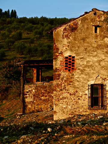 A stone house sits in front of an olive grove in Tuscany.