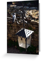 Pigeon Lantern Greeting Cards