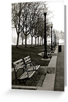 Waterfront Park Greeting Cards