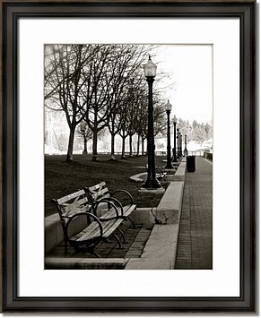 Waterfront Park Framed Prints