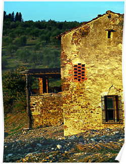 Tuscan Farm House Posters