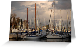 Vancouver Harbour Greeting Cards
