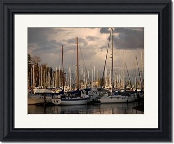 Vancouver Harbour Framed Prints