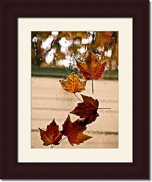 Rainy Window Autumn Maple Leaf Framed Prints