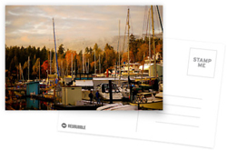 Autumn Stanley Park Harbour Postcards