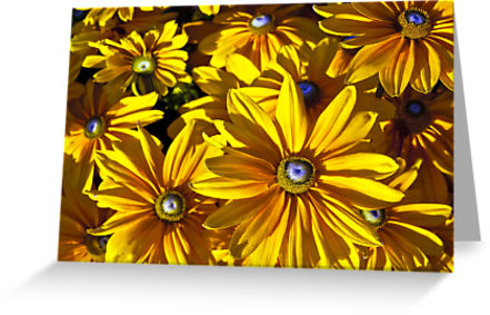 Yellow Daisy Greeting Cards