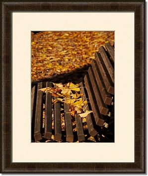 Autumn Framed Prints